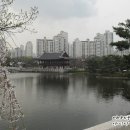 삼성아파트1동 앞 이미지
