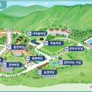 이천시 모가야구장 이미지