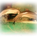 씨에코펜션 이미지