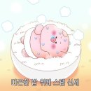 줌분식