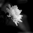 김태구 빙모상 알림 이미지