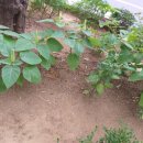 KCC아파트관리소 이미지