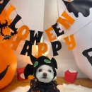 팡앤뭉치 이미지