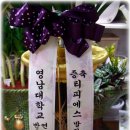 티피에스주 이미지