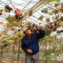 회룡포여울마을 이미지