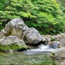 (주)보양제약