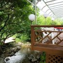 숲속개울가 이미지