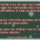 지민타일