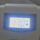 하이베베 | [10주-11주]하이베베성공 위치 꿀팁 및 사용 후기!