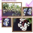 성일농장 이미지