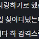 피크닉콘