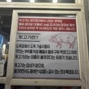 청평면 | [가평군 청평면] 청평 곱창 맛집 쫑구막창 내돈내산 후기