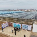 방대농장 이미지