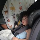 대명중앙시장 | [속초/양양/강릉] 대명리조트 쏠비치 양양 호텔 스탠다드 트윈룸 1박 추천후기