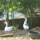 엄마손지역아동센터 이미지