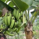 노원농장 이미지