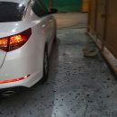 신세계 카 써비스 이미지