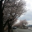 영강체육공원길 이미지