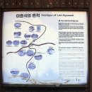 메밀이야기 이미지