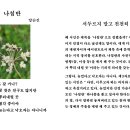 悳泉의 디카시 단상(7)/ 나침반 ( 양순진) 이미지