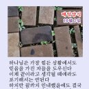 매일양식2