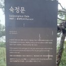 사우로 이미지