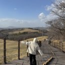 한국한우 | [국내/서산당일치기] 한국의 스위스 한우목장길🐂🌱 (+ 가성비 파스타맛집 준테이블 내돈내먹 후기)