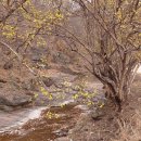 우보공인중개사사무소 이미지