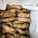 송이농장 이미지