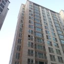 탄벌동-7 이미지