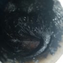 길동카서비스 이미지