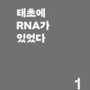 과학책읽기-11월5일 : RNA 특강--태초에 RNA가 있었다 (본문) 이미지