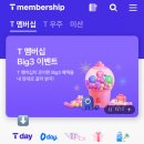 주정차 단속 - 051 이미지