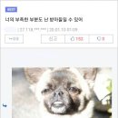 신기 이미지