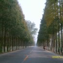 신양농장 이미지