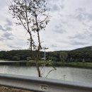 갈치저수지 이미지