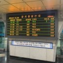 남포지하도상가 | 일본인 친구와 함께하는 부산 여행 _1편_첫째날(1)_백화 양곱창 5호, 남포동 포장마차 52호_ 비추 후기