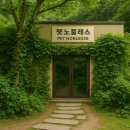 언론기관부설 | 자연에서 태어나 자연에서 잠들다, 포항강아지장례