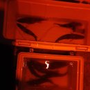 남대천R 이미지