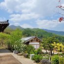 한솔펜션 이미지