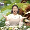 내고향농수산물 이미지