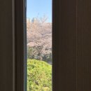 동백농원특산