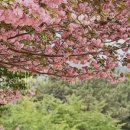 계룡로13길 이미지