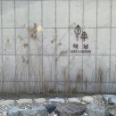 카페덕남 이미지