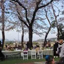 가파보건진료소 | 렛츠런 파크 과천 벚꽃축제 후기(푸드트럭, 체험 후기)