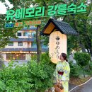 강릉 숙소 유메모리 국내료칸 가족여행 감성숙소 의상 수영장 후기