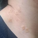 플로레스피부과의원 이미지