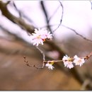 자연수변공원 이미지