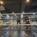 클럽복싱인 이미지