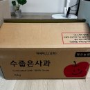 아침농원 | [포항] 태산농원 수줍은 사과 후기